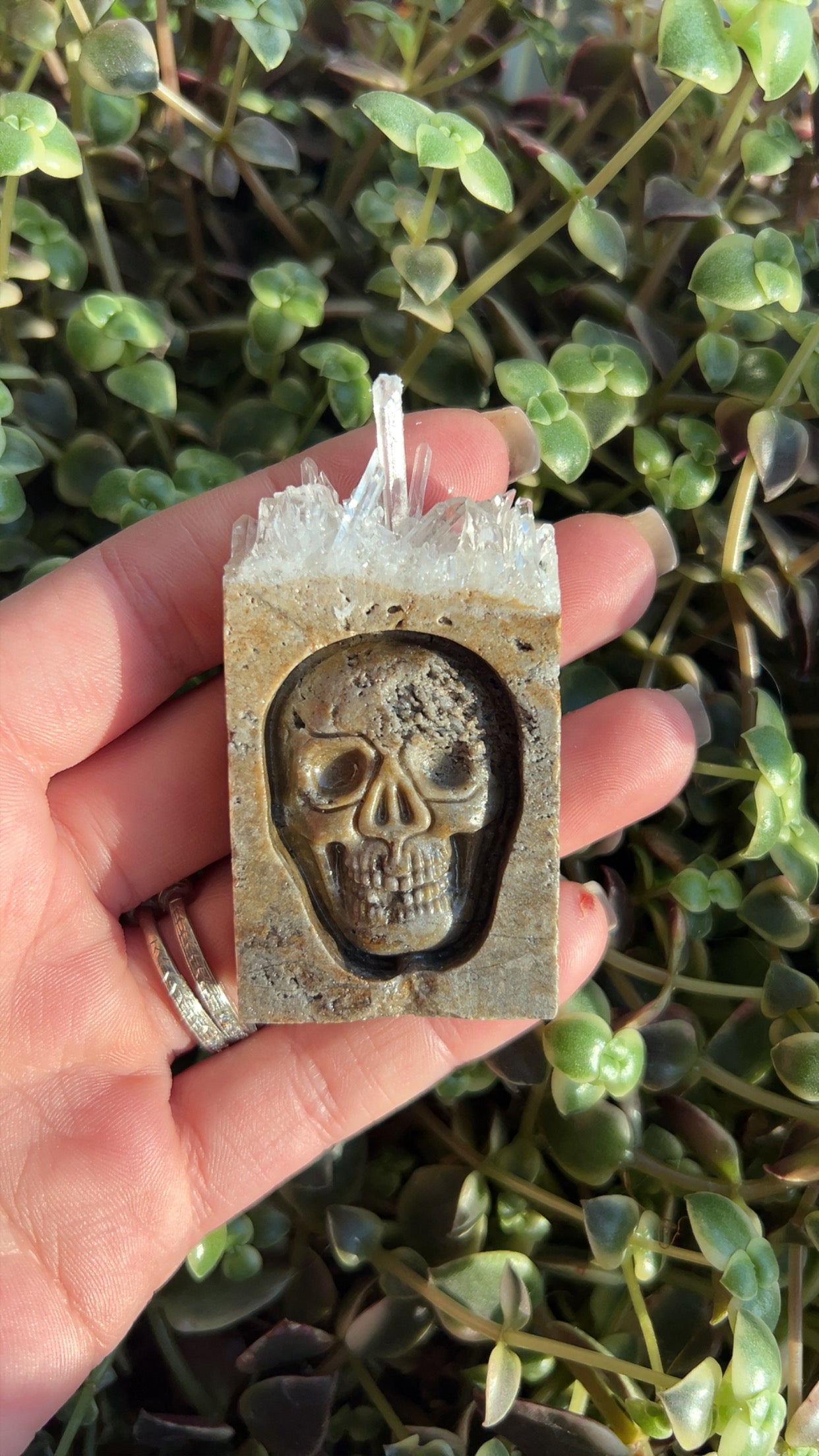 Skull Raw Top Carving