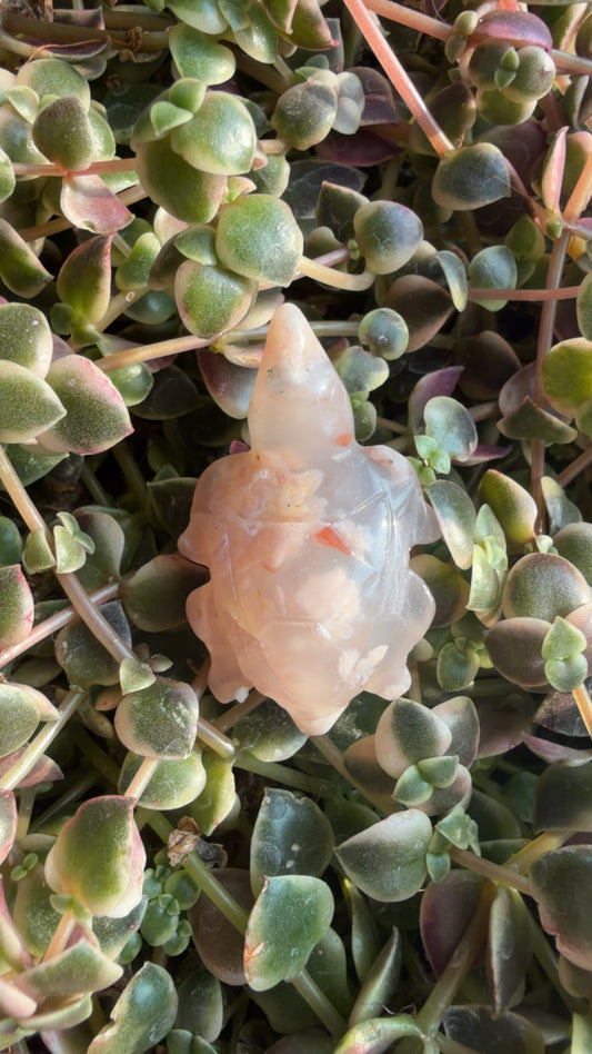Mini Flower Agate Turtles
