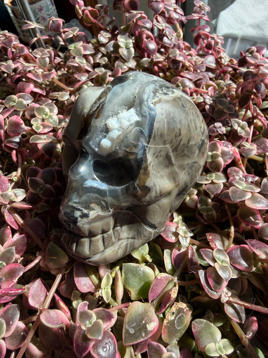 Volcano Agate Skull