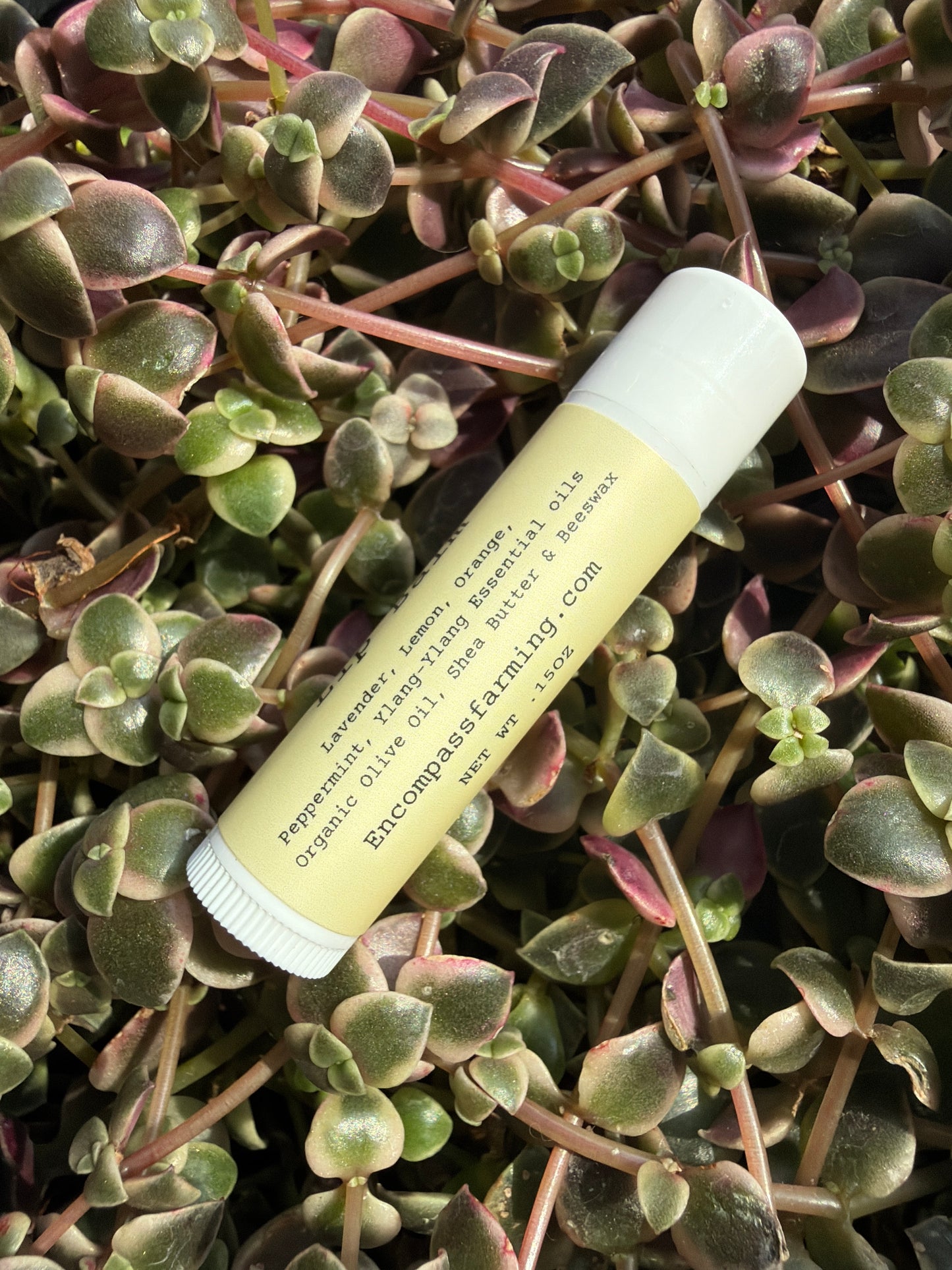 Encompass Lip Balm