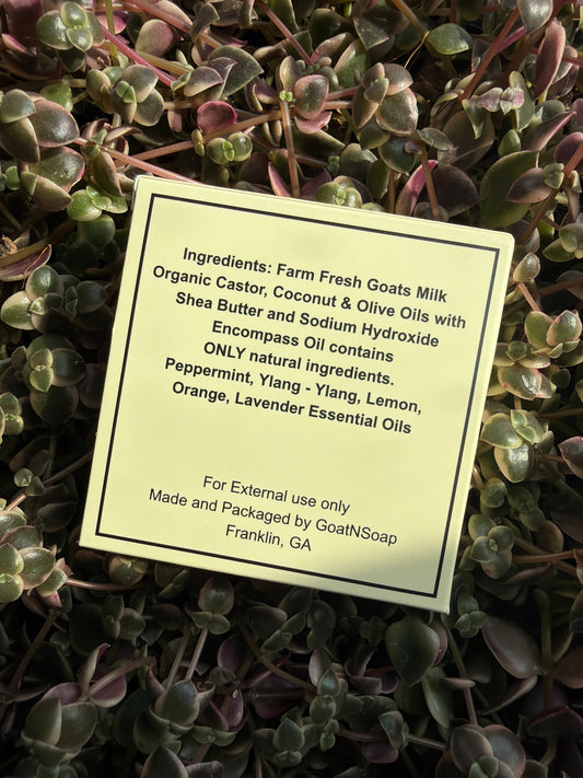 Encompass Goat Soap