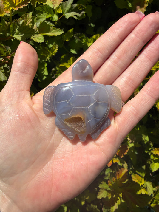 Agate Turtle