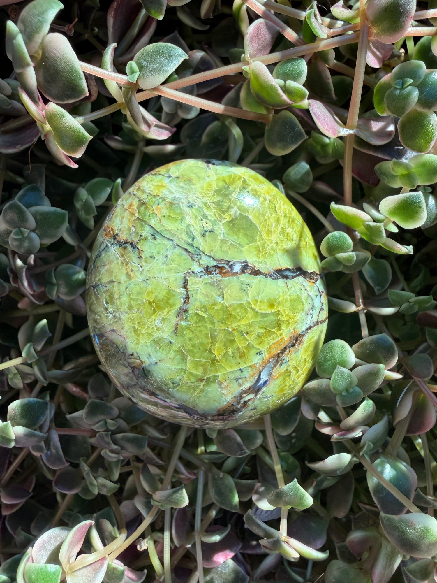 Palm Stones