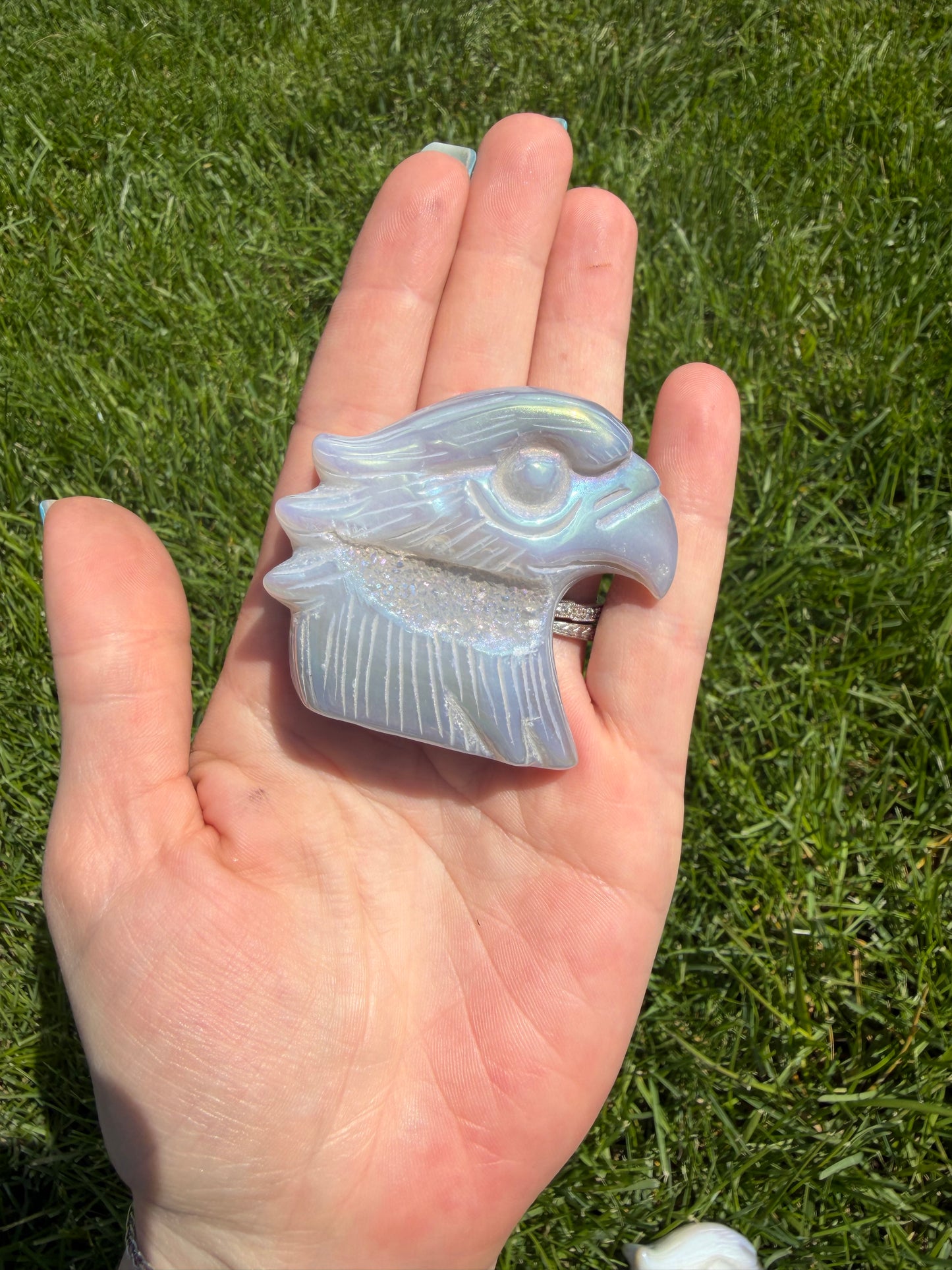 Aura Eagle Head