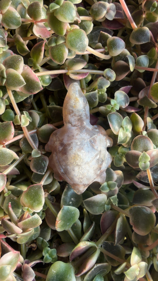 Mini Flower Agate Turtles