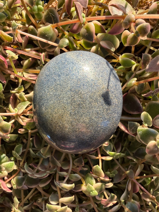 Blue appetite Palm stone