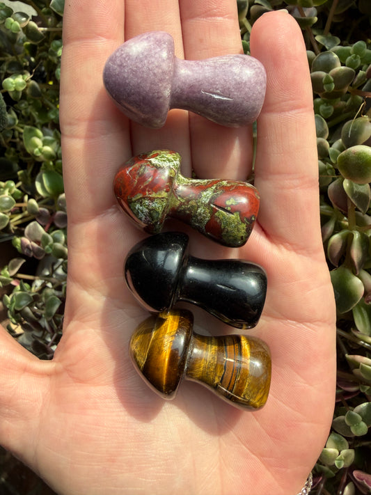 4 pc Mini Mushroom Set