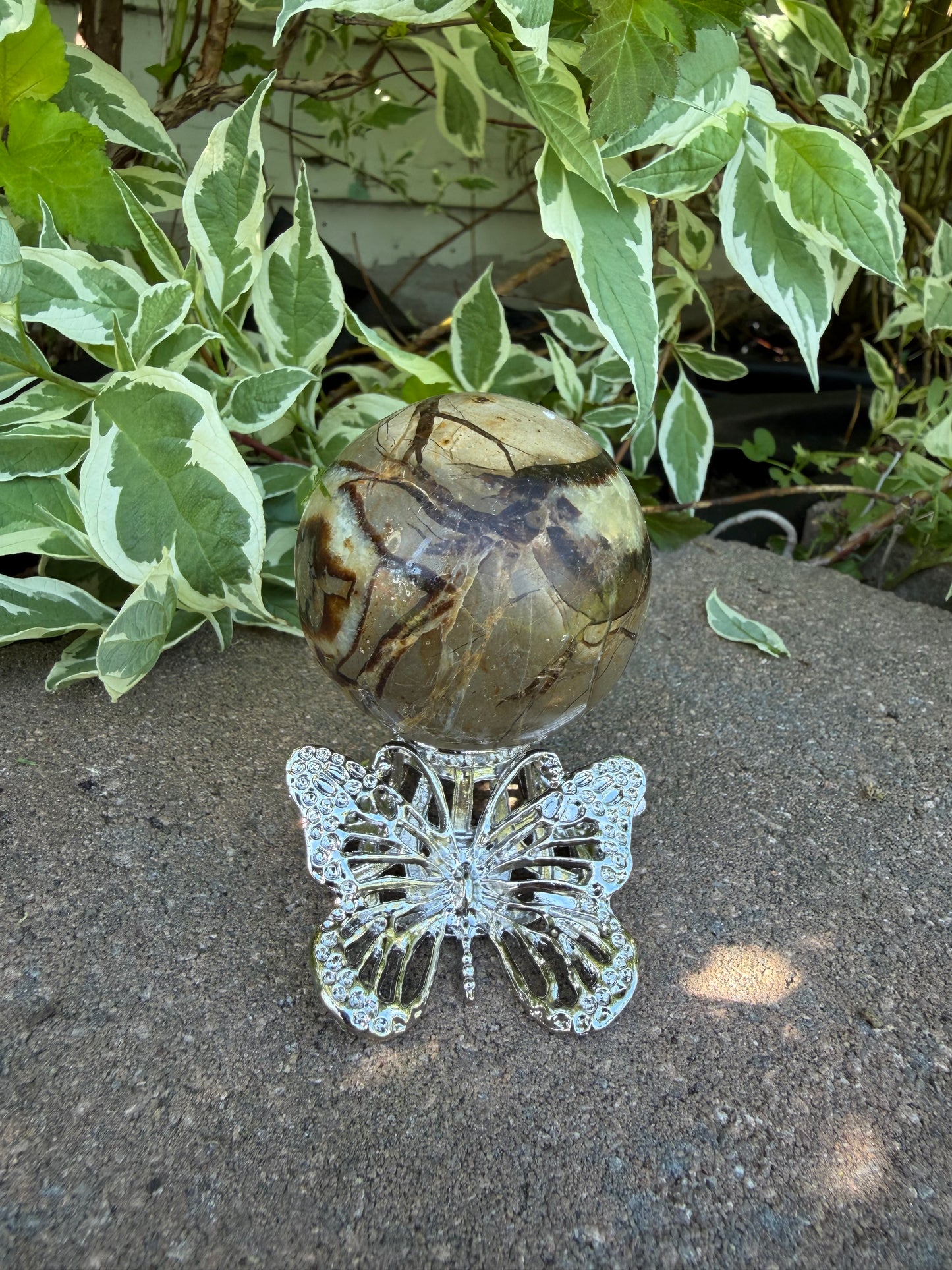 Septarian Sphere on Butterfly stand