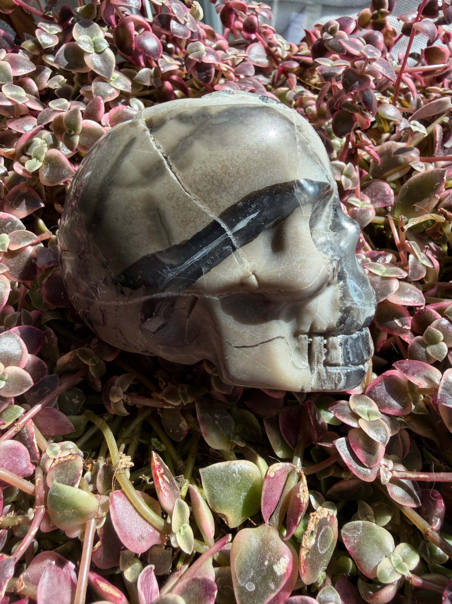 Volcano Agate Skull