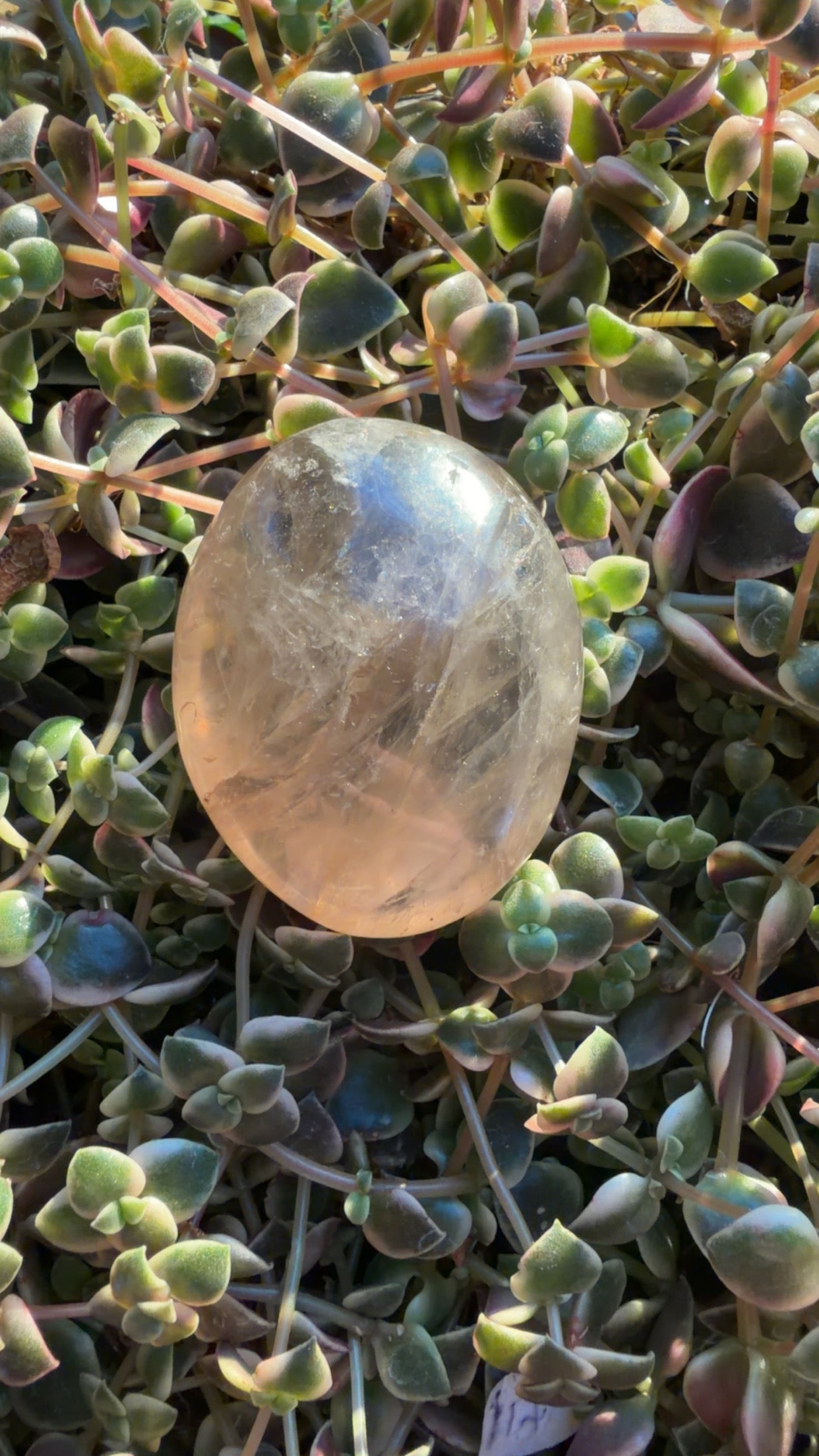 Smokey Quartz Palm Stone