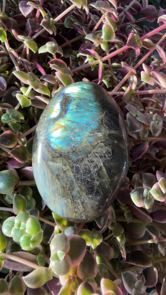 Labradorite Palm Stone