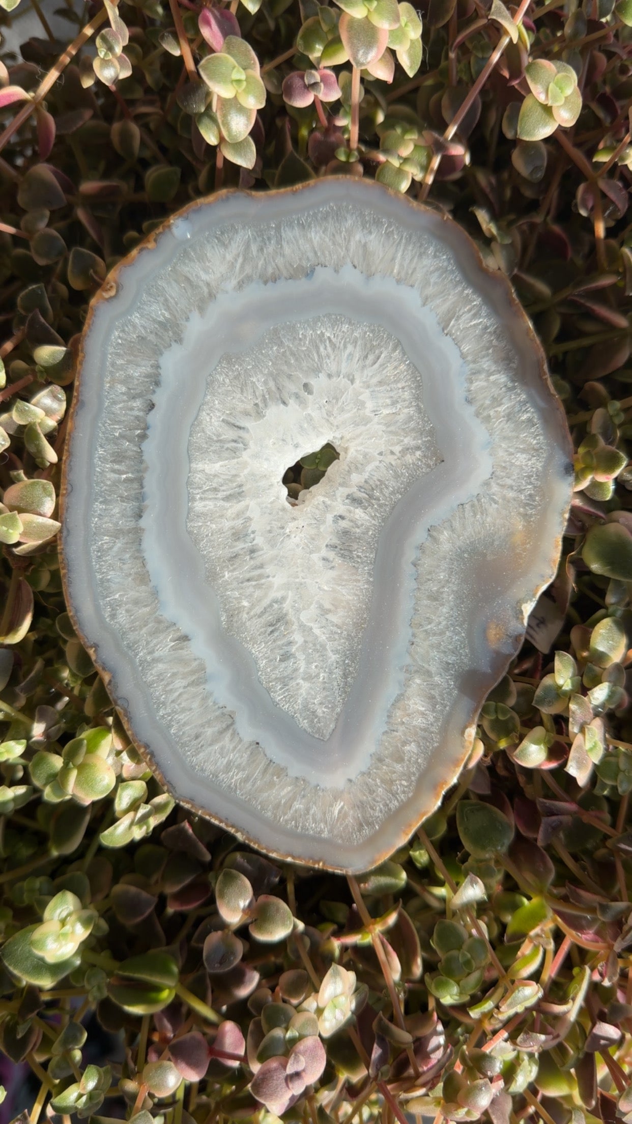 Agate Slice