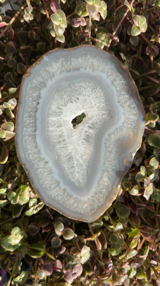 Agate Slice