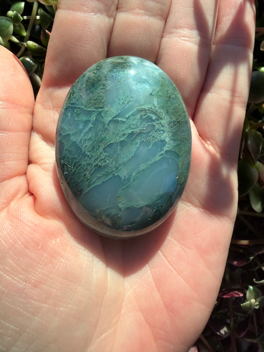 Moss Agate Palm Stone