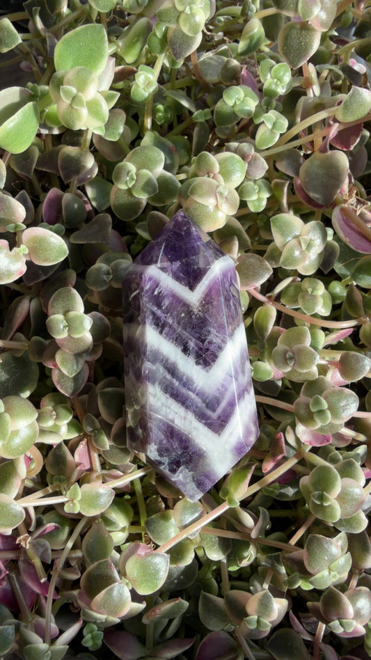 Amethyst Double Point