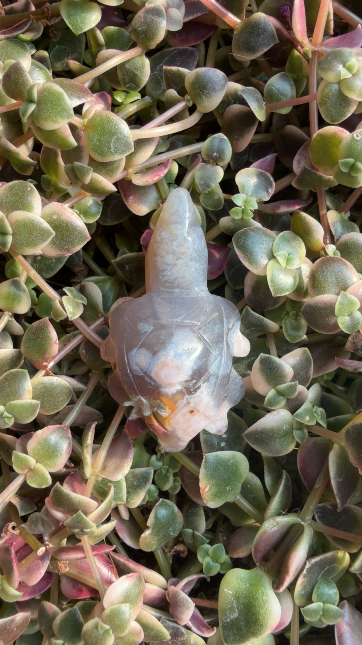 Mini Flower Agate Turtles