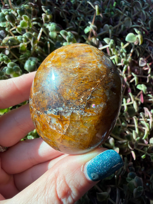Golden Healer Palm stone