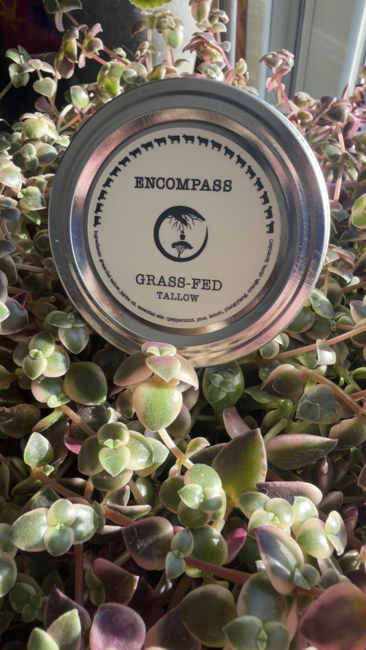 Encompass Tallow