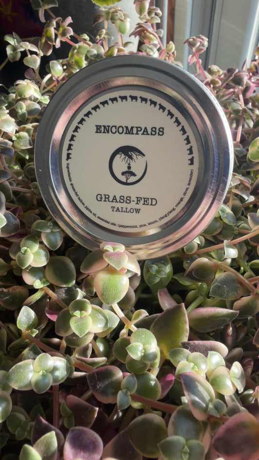 Encompass Tallow