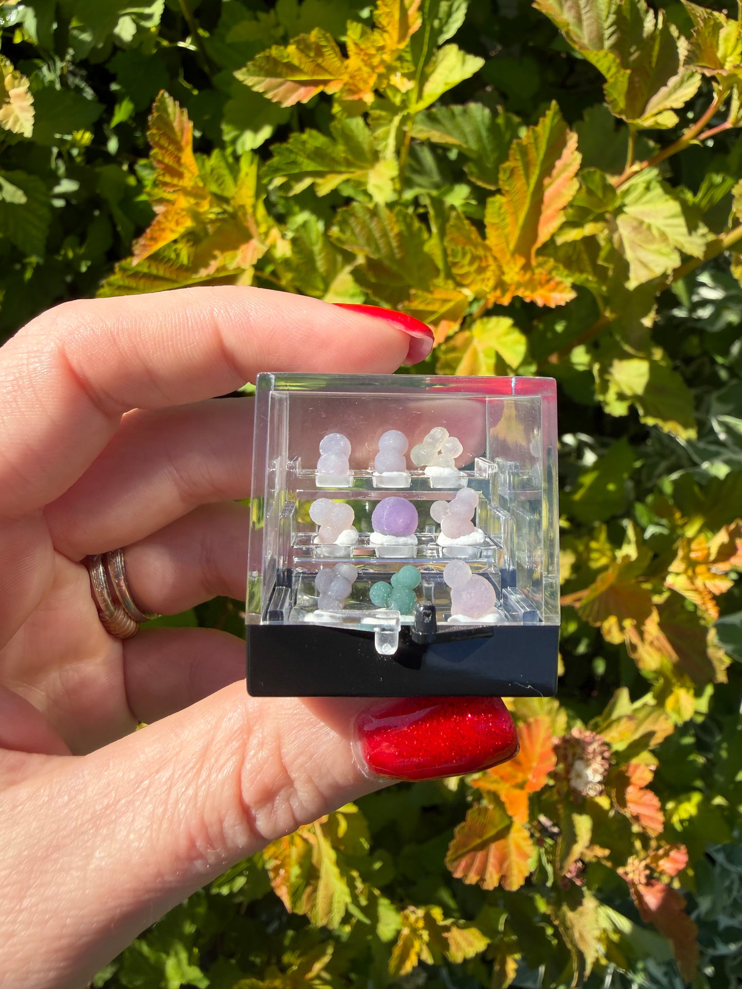 Mini Grape Agate Specimen Case