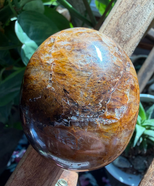 Golden Healer Palm stone
