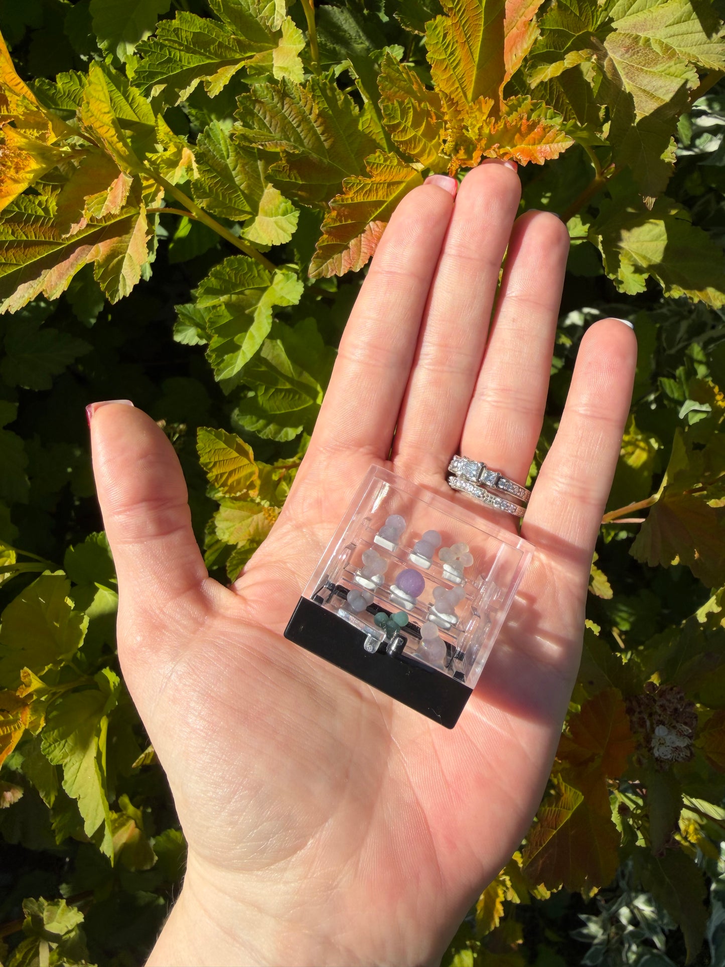 Mini Grape Agate Specimen Case