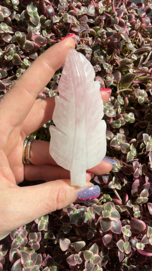 Rose Quartz Feather