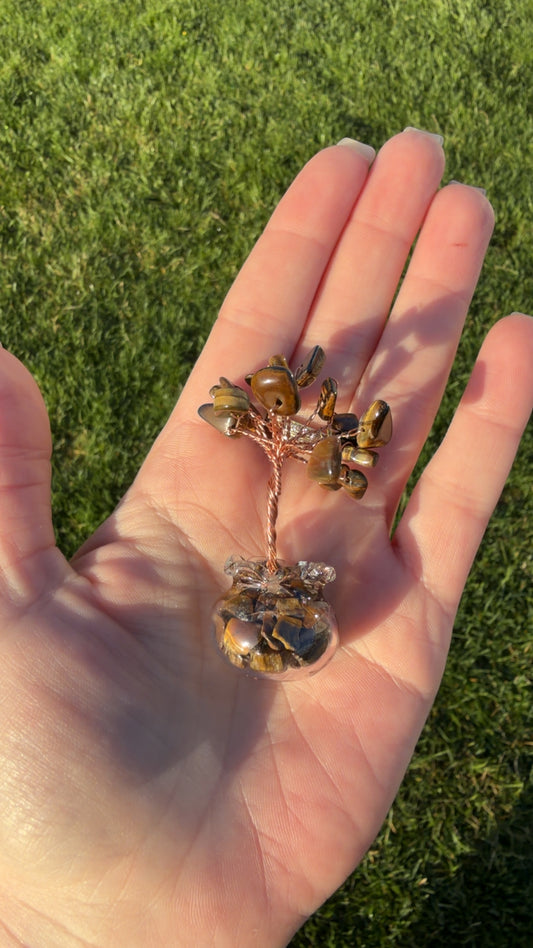 Mini Tigers Eye Tree