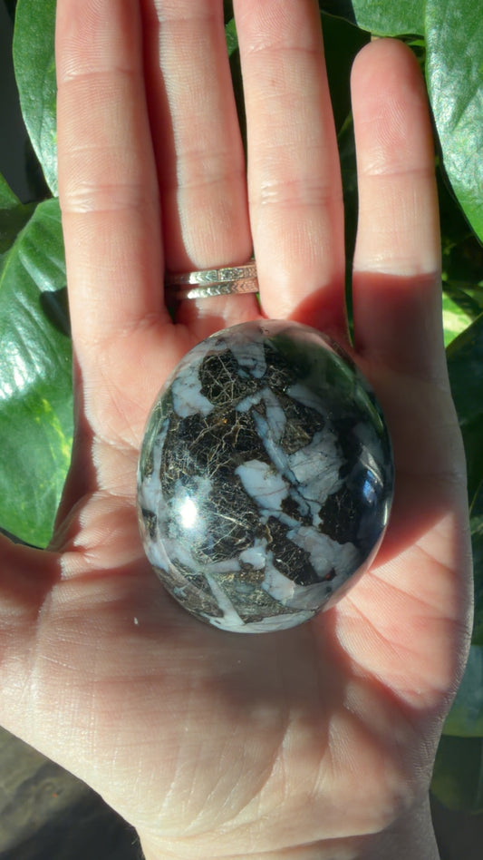 Larvikite Palm Stone