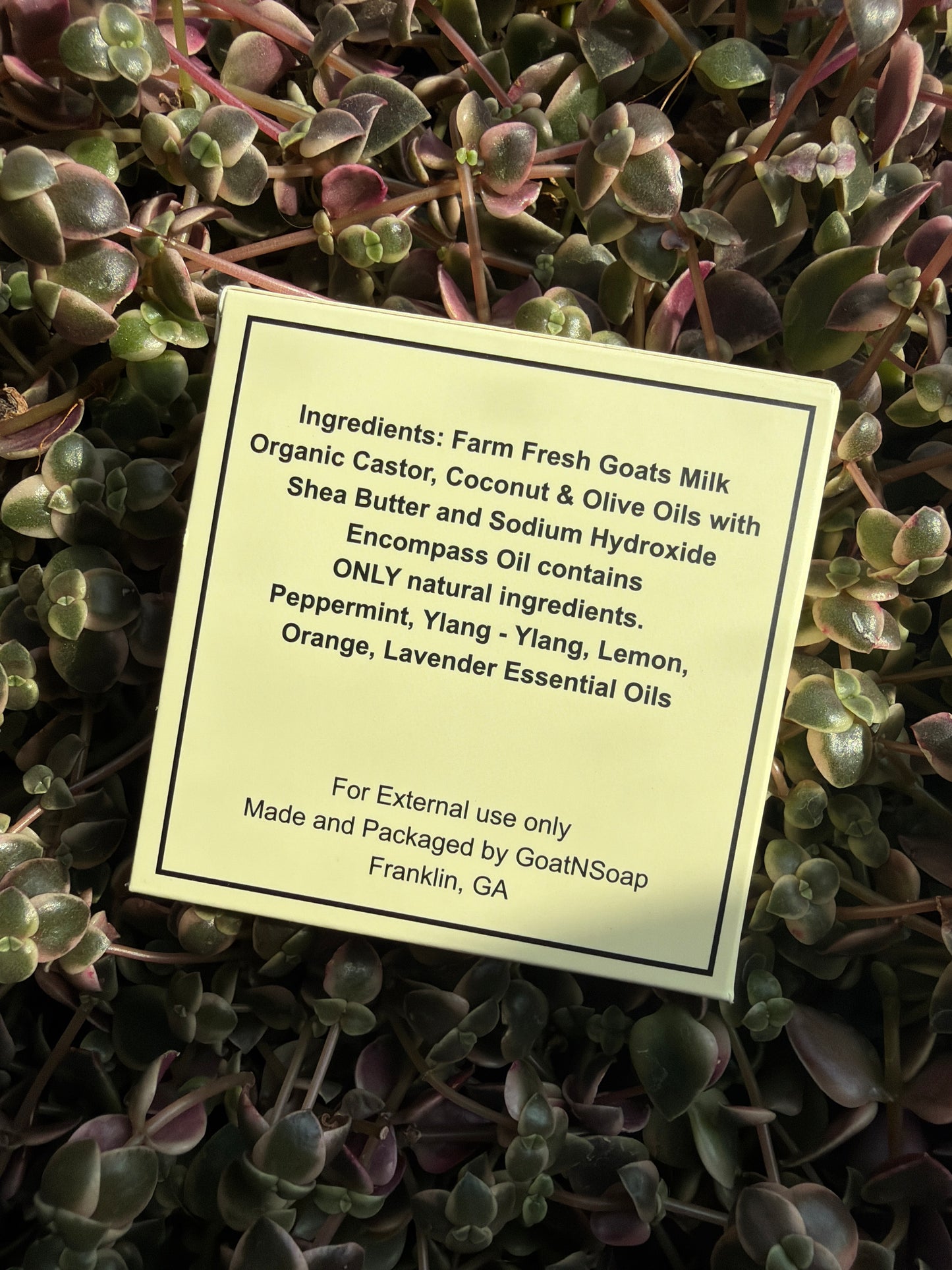 Encompass Goat Soap