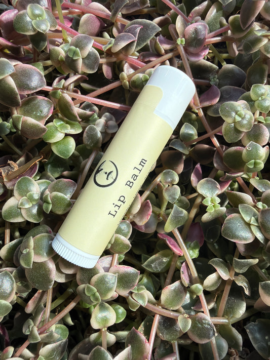 Encompass Lip Balm