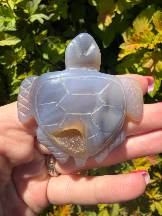 Agate Turtle