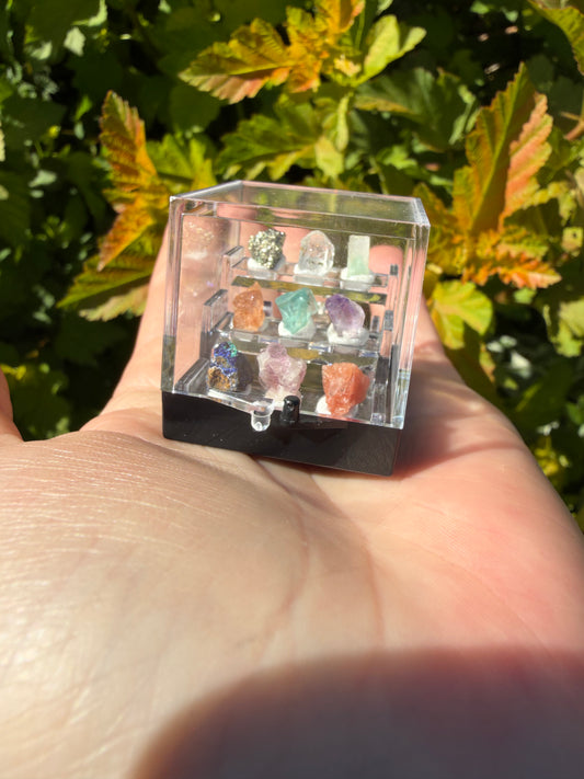 Mini crystal specimen  case