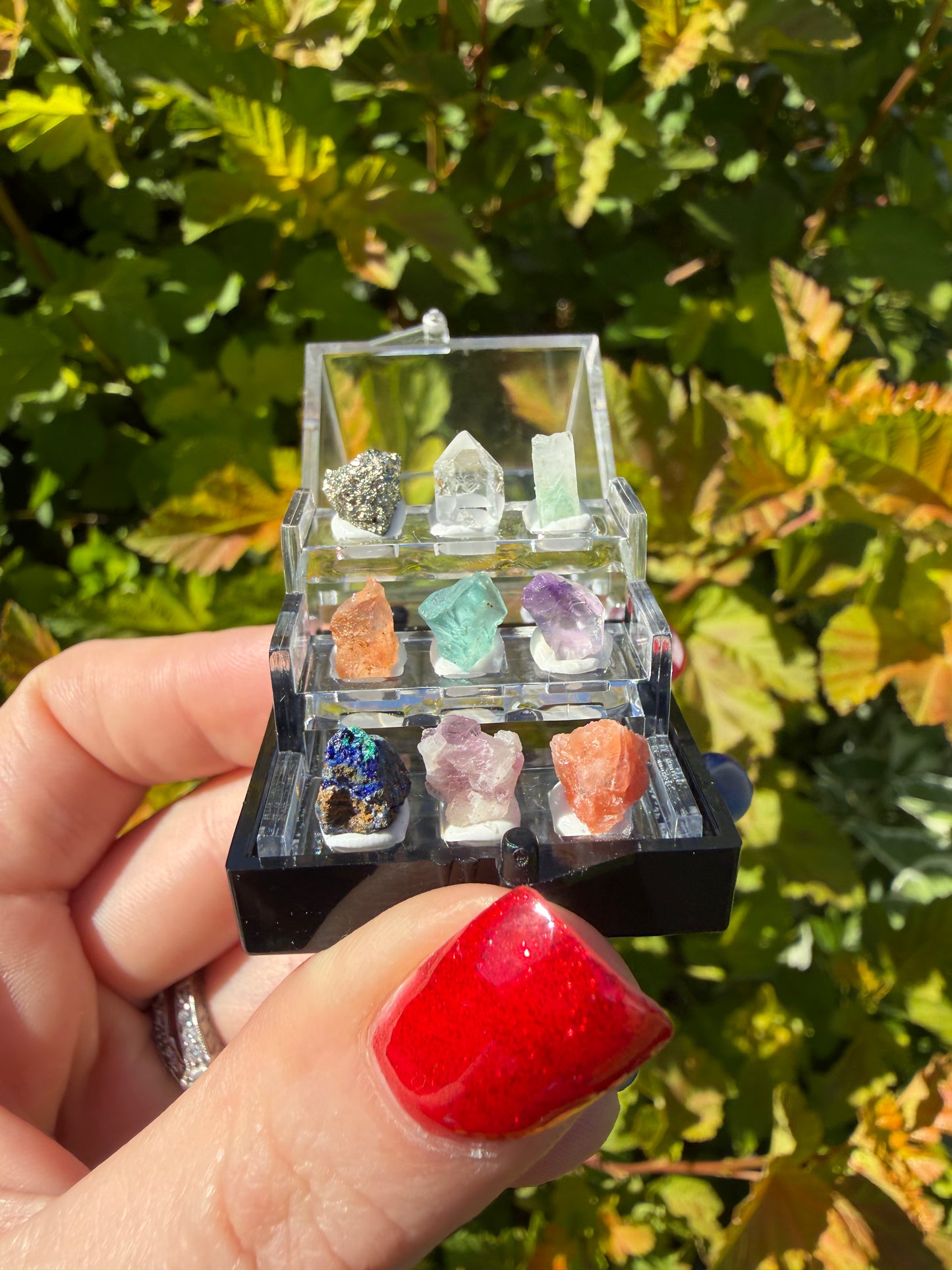 Mini crystal specimen  case