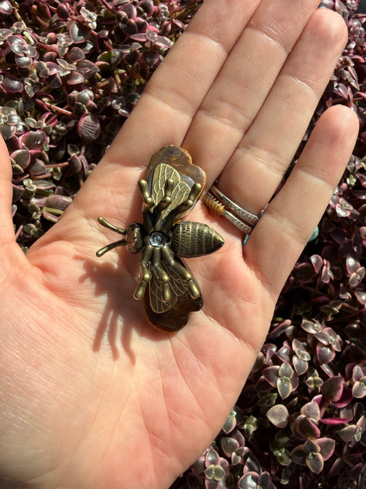 Tiger’s eye bee