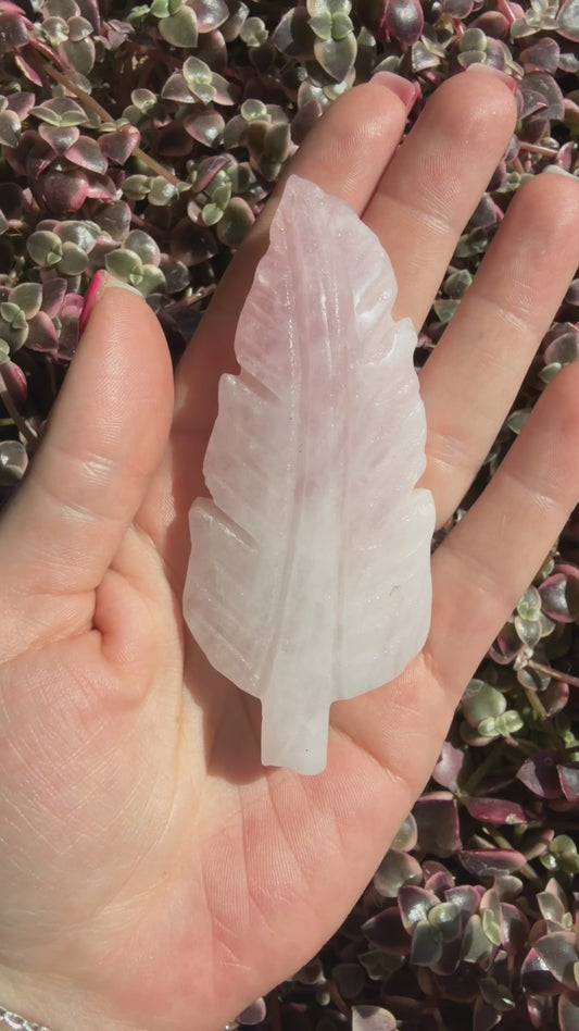 Rose Quartz Feather