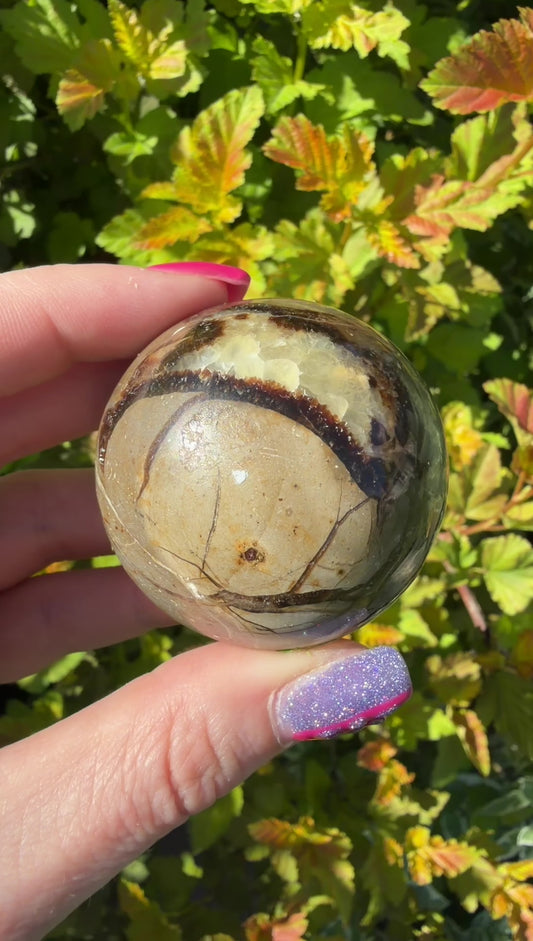 Septarian Sphere on Butterfly stand