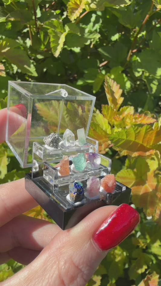 Mini crystal specimen  case